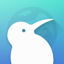 KiwiBrowser浏览器下载最新版本